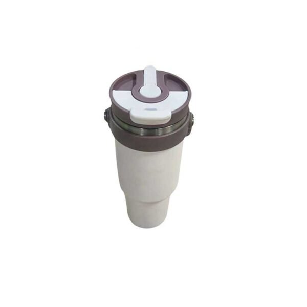 Stainless Steel Thermos Bottle with Straw (Random Colour)