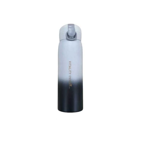 NS1375BKWT1.jpg Gradient Thermos Bottle (Random Colour)