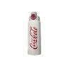 Cute Coca-Cola Thermos Bottles